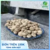 Giá 1kg Củ Tam Thất Nam Tại TP.HCM - Noni Tấn Phát