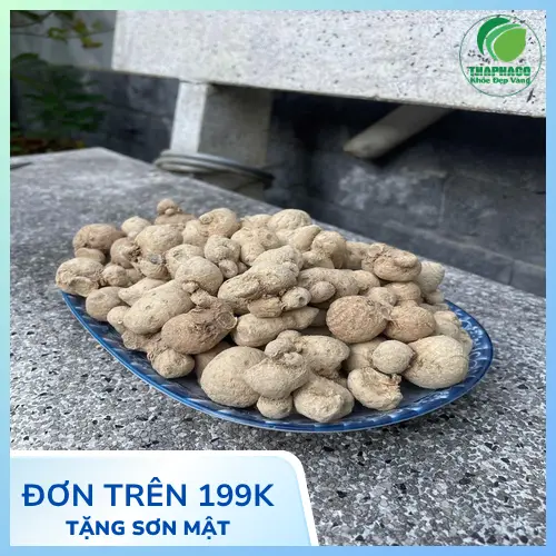 Hình ảnh củ tam thất nam tươi nguyên chất từ Noni Tấn Phát