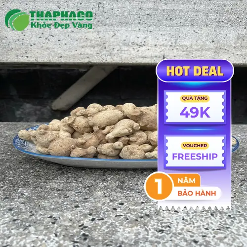 Mô tả các thành phần và dược tính quý giá trong củ tam thất nam