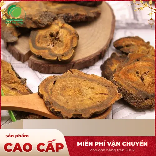 Đại hoàng tươi nguyên liệu được chọn lọc kỹ lưỡng tại Noni Tấn Phát