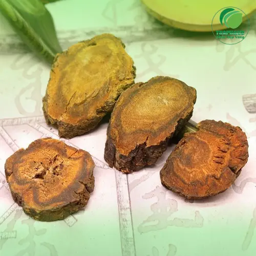 Đại hoàng khô nguyên chất tại Noni Tấn Phát