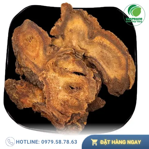 Các lát đại hoàng sấy khô chất lượng cao từ Noni Tấn Phát