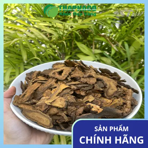 Noni Tấn Phát cung cấp đại hoàng sấy khô chất lượng