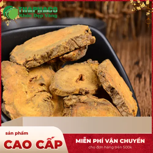 Quy trình kiểm định chất lượng đại hoàng tại Noni Tấn Phát
