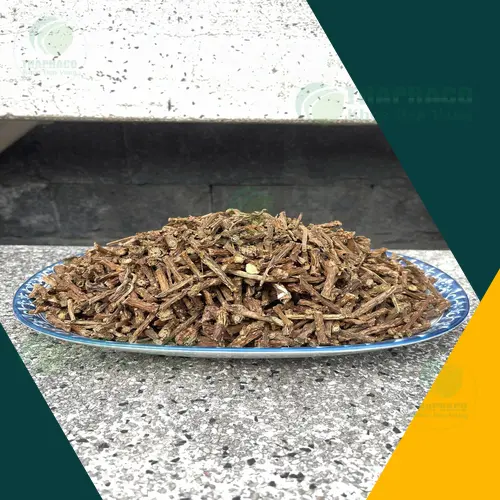 Dây thần thông tươi nguyên cành với lá và thân đặc trưng