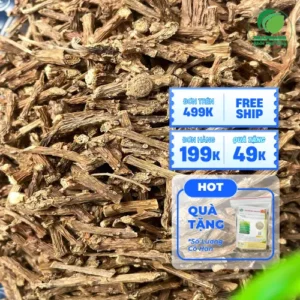 Địa chỉ bán sỉ dây thần thông giá tốt | Noni Tấn Phát