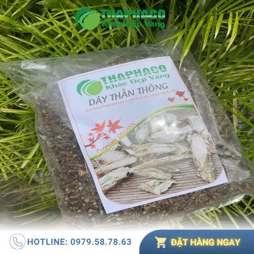 Cận cảnh lá và thân của dây thần thông với những gai nhỏ đặc trưng