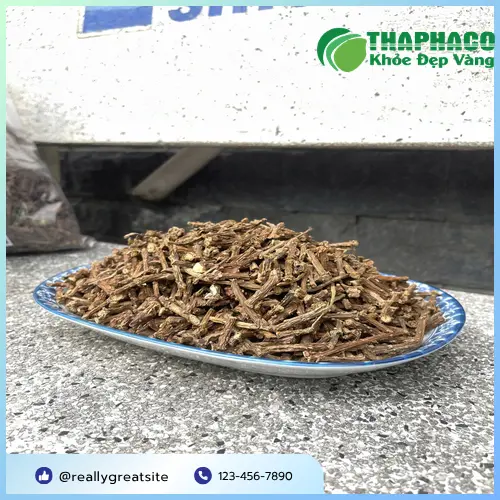 Công dụng của dây thần thông Noni Tấn Phát