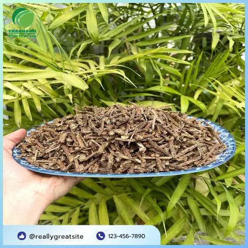 Dây thần thông ngâm rượu công dụng hiệu quả
