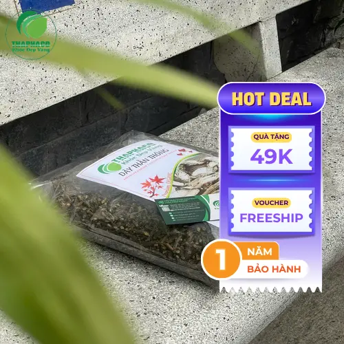 Noni Tấn Phát - Địa chỉ uy tín cung cấp dược liệu
