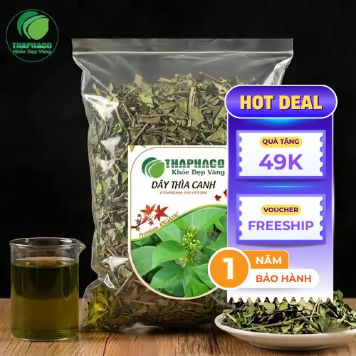 Dây thìa canh khô Noni Tấn Phát chuẩn chất lượng