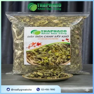 Địa Chỉ Bán Dây Thìa Canh Uy Tín Tại HCM - Noni Tấn Phát