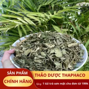 1kg Dây thìa canh giá bao nhiêu? Báo giá Noni Tấn Phát