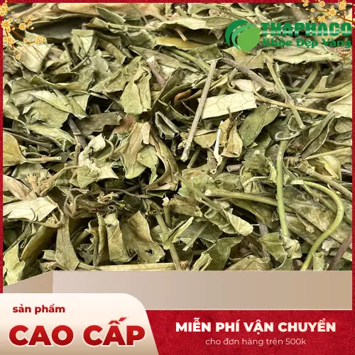 1kg Dây thìa canh khô đóng gói tại Noni Tấn Phát