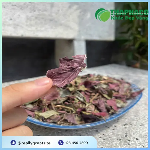 Lá dơn đỏ tươi giúp làm dịu da viêm cơ địa hiệu quả