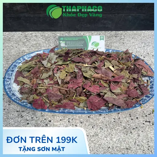 Nước lá đơn đỏ đã phơi khô Noni Tấn Phát