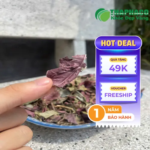 Quy trình sấy khô Lá đơn đỏ tại Noni Tấn Phát