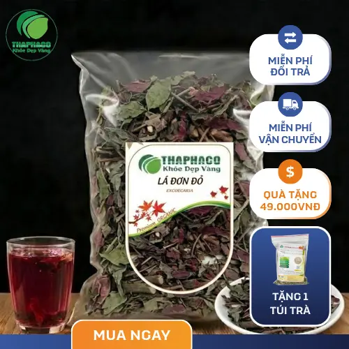 Lá đơn đỏ sấy khô Noni Tấn Phát
