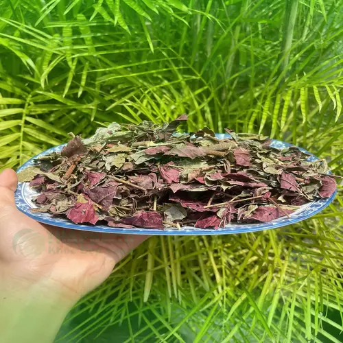 Hướng dẫn sử dụng lá dơn đỏ trị viêm da cơ địa