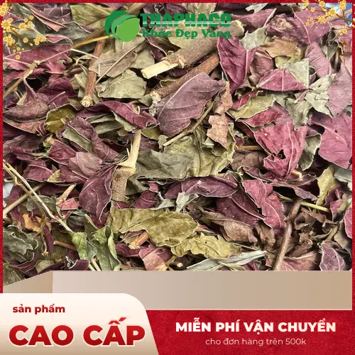Lá đơn đỏ sấy khô Noni Tấn Phát giá rẻ và khuyến mãi hấp dẫn