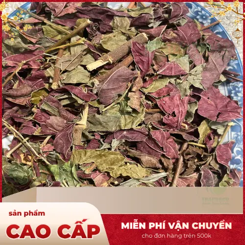 Sản phẩm lá đơn đỏ sấy khô Noni Tấn Phát chất lượng, giá ưu đãi đặc biệt