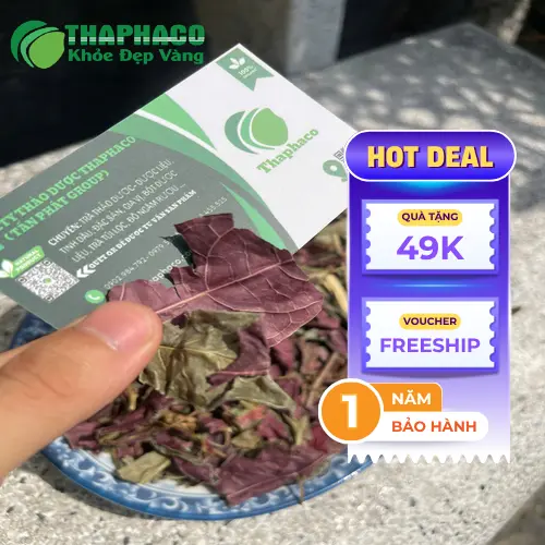 Sản phẩm lá dơn đỏ Noni Tấn Phát chất lượng cao