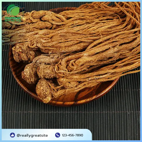 Đương Quy khô đã sơ chế và cắt lát