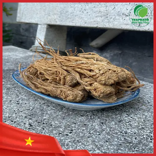 Đương Quy chất lượng cao từ Noni Tấn Phát