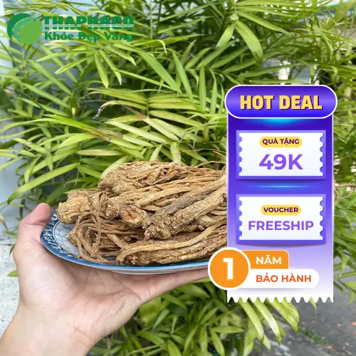 Sản phẩm đương quy khô đã đóng gói của Noni Tấn Phát