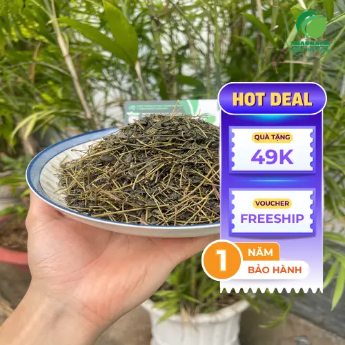 Giảo Cổ Lam sấy khô được đóng gói cẩn thận tại Noni Tấn Phát