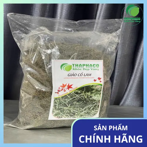 Giảo cổ lam chất lượng cao của Noni Tấn Phát
