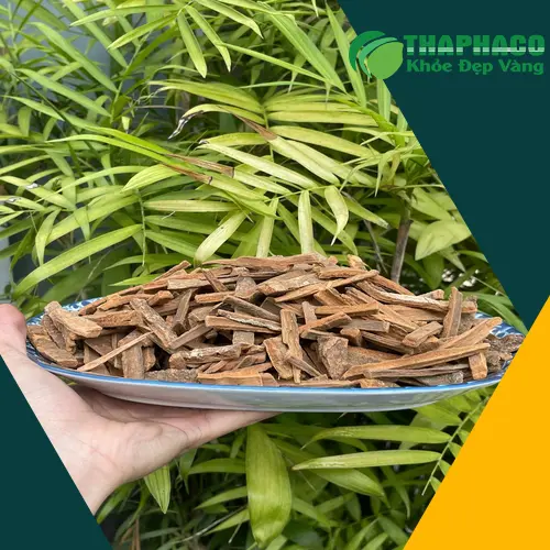 Sản phẩm hậu phác khô cao cấp của Noni Tấn Phát
