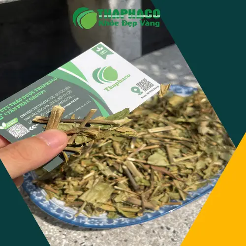 Hình ảnh trà Hoàn ngọc sấy khô chất lượng cao của Noni Tấn Phát