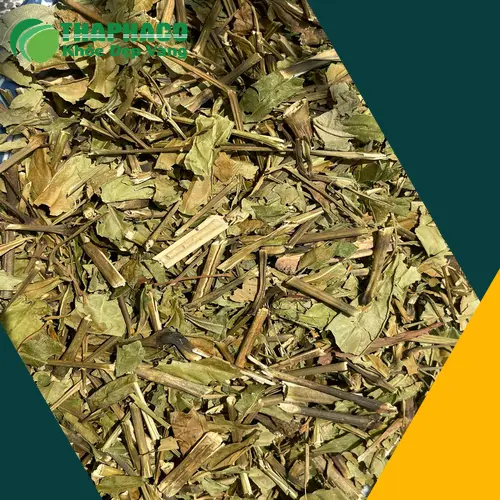 Sản phẩm Hoàn Ngọc sấy khô được đóng gói cẩn thận tại Noni Tấn Phát