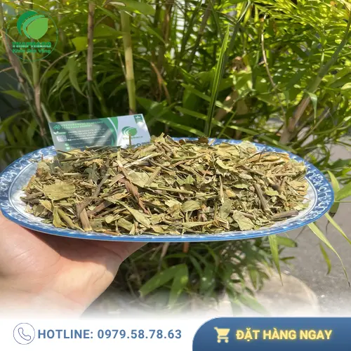 Hoàn ngọc khô Noni Tấn Phát được bảo quản cẩn thận