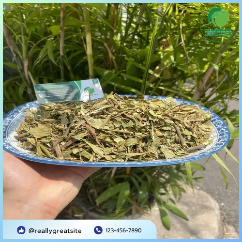 Người dùng thưởng thức trà Hoàn Ngọc mỗi ngày