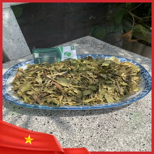 Sản phẩm trà hoàn ngọc Noni Tấn Phát chất lượng cao