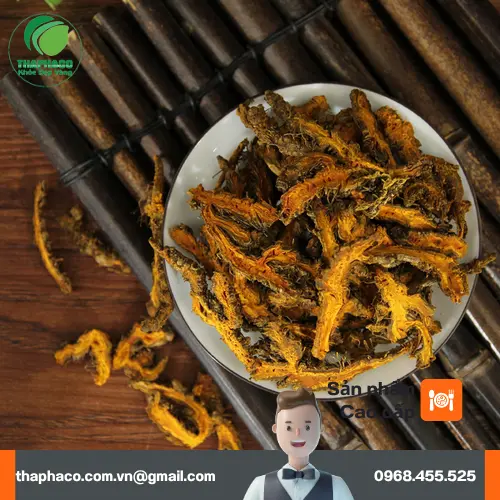 Hoàng Liên sấy khô nguyên chất từ Noni Tấn Phát - Dược liệu quý cho sức khỏe