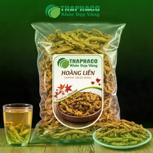 Hình ảnh hoàng liên nguyên củ sấy khô