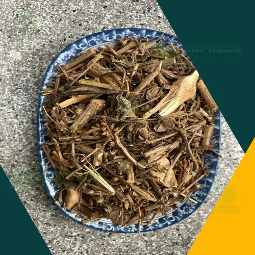 Hương nhu khô nguyên chất từ Noni Tấn Phát