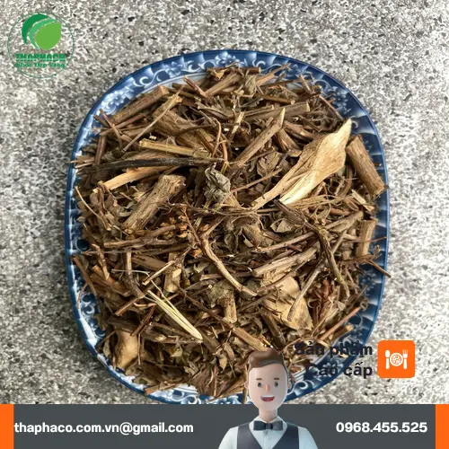 Dược sĩ đang cầm bó hương nhu tươi