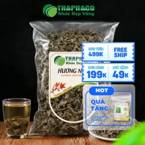 Mua Hương Nhu Khô Ở Đâu Uy Tín TPHCM? Noni Tấn Phát