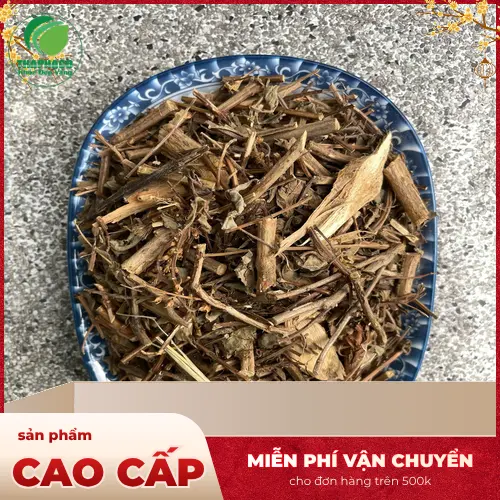 Lá hương nhu tươi xanh - Dược liệu quý cho mái tóc