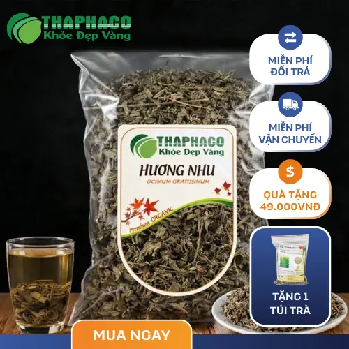 Sản phẩm hương nhu chất lượng từ Noni Tấn Phát