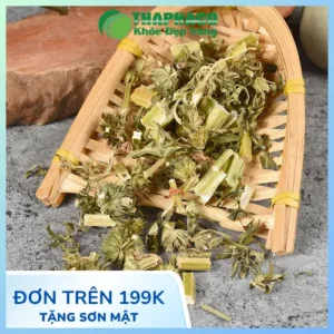 Mua Sỉ Trà Ích Mẫu Sấy Khô Ở Đâu Uy Tín, Giá Tốt?