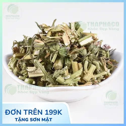 Cách dùng ích mẫu sấy khô hiệu quả và an toàn