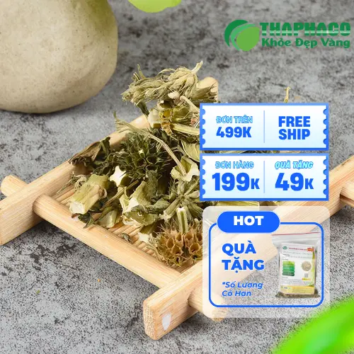 Ích mẫu sấy khô Noni Tấn Phát đóng gói tiện lợi