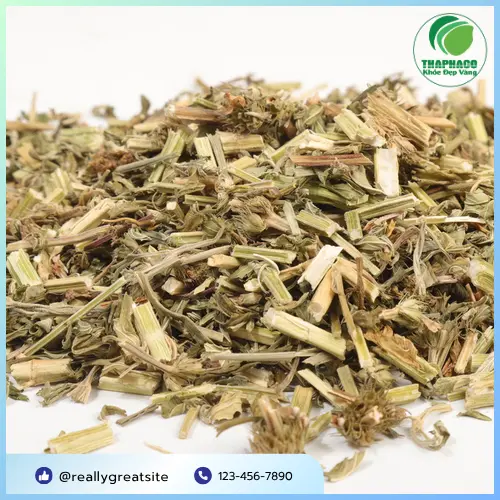 Trà Ích Mẫu Noni Tấn Phát - Lựa chọn hàng đầu cho sức khỏe