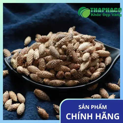 Ké đầu ngựa khô tự nhiên tại Noni Tấn Phát