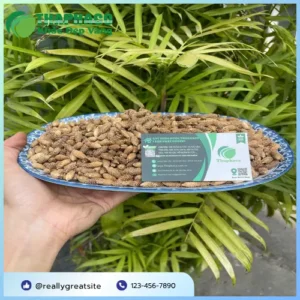 1kg Ké Đầu Ngựa Sấy Khô Giá Bao Nhiêu? Đánh Giá Từ Noni Tấn Phát